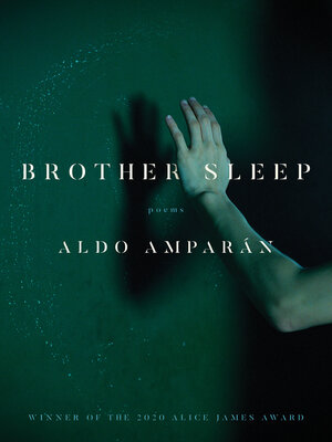 cover image of Brother Sleep